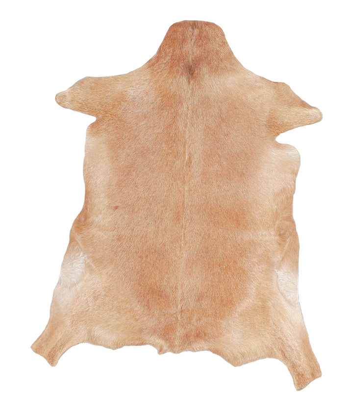 Goatskin Approx 2'3 #A28160 by Hudson Hides