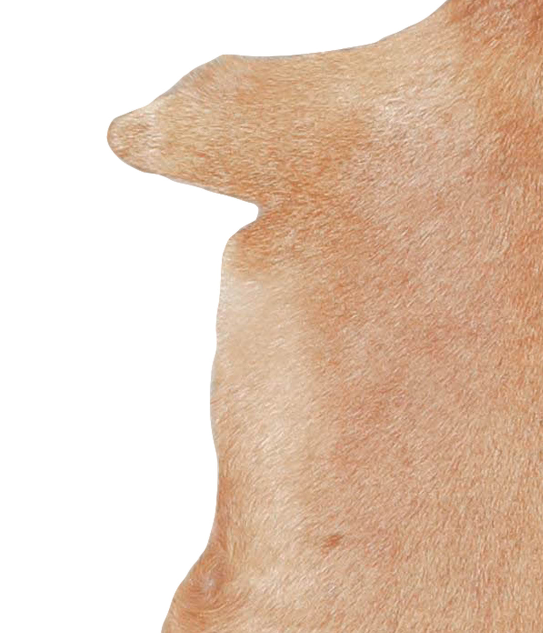 Goatskin Approx 2'3 #A28160 by Hudson Hides