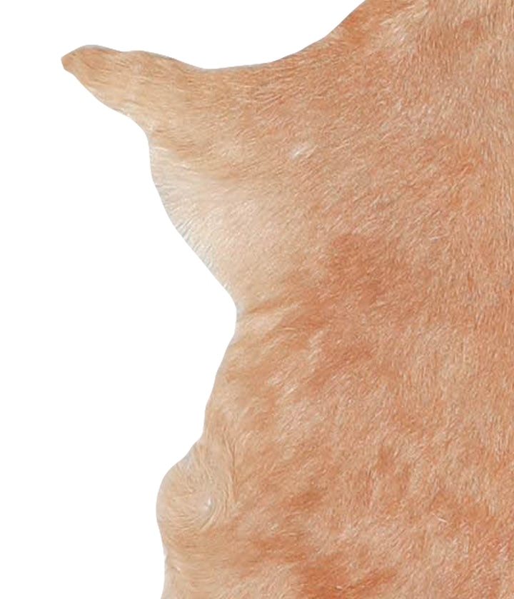 Goatskin Approx 2'3 #A28163 by Hudson Hides