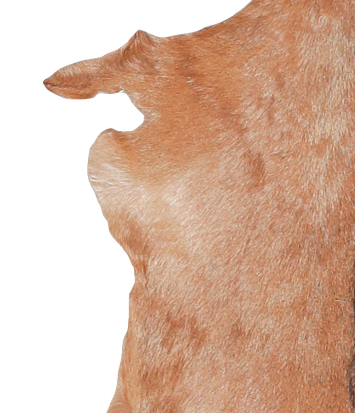 Goatskin Approx 2'3 #A28165 by Hudson Hides