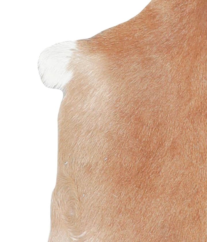 Goatskin Approx 2'3 #A28169 by Hudson Hides