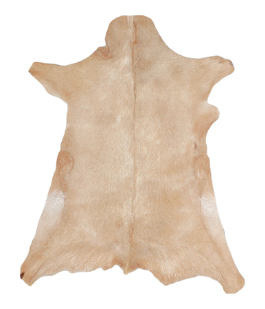 Goatskin Approx 2'3 #A28170 by Hudson Hides