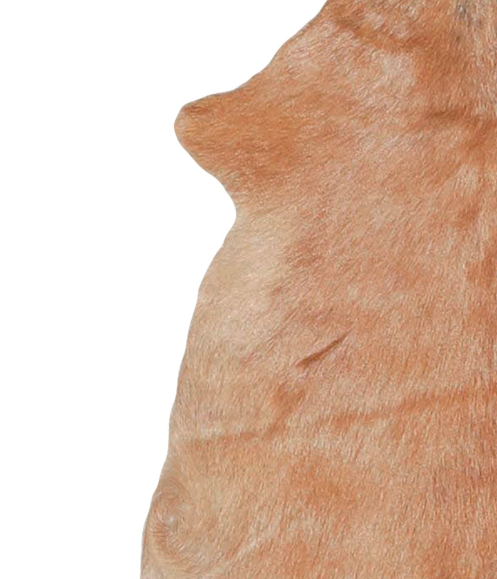 Goatskin Approx 2'3 #A28171 by Hudson Hides