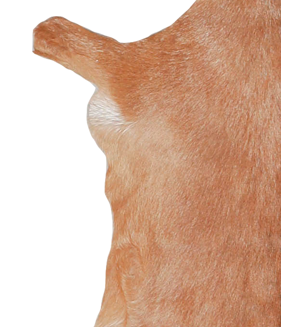 Goatskin Approx 2'3 #A28172 by Hudson Hides