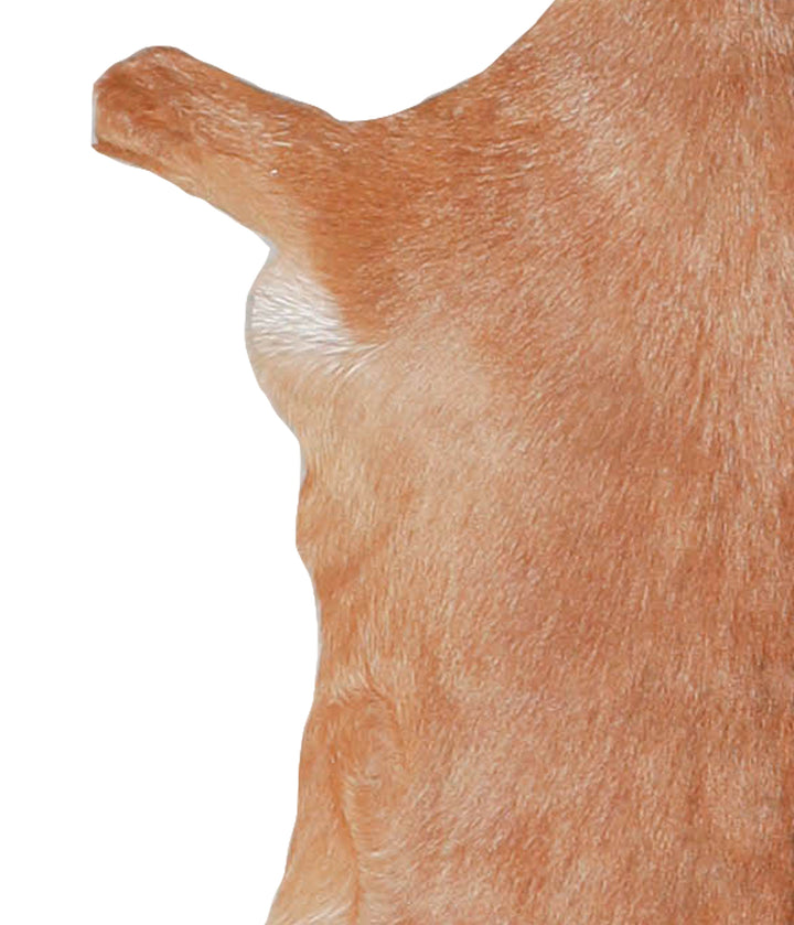Goatskin Approx 2'3 #A28172 by Hudson Hides