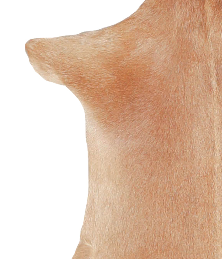 Goatskin Approx 2'3 #A28175 by Hudson Hides