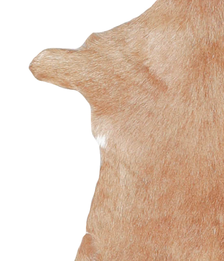Goatskin Approx 2'3 #A28176 by Hudson Hides