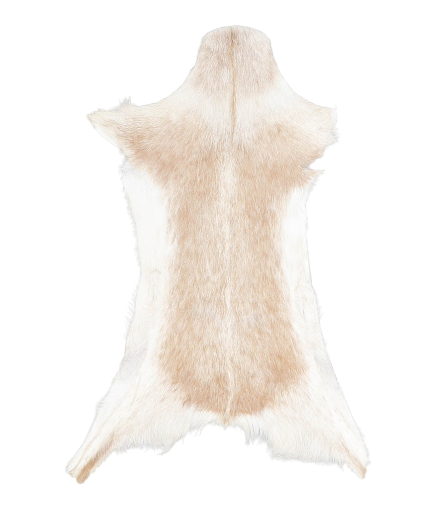 Goatskin Approx 2'3 #A28177 by Hudson Hides