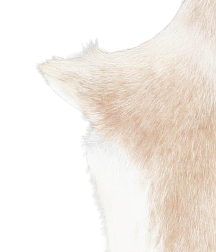 Goatskin Approx 2'3 #A28177 by Hudson Hides