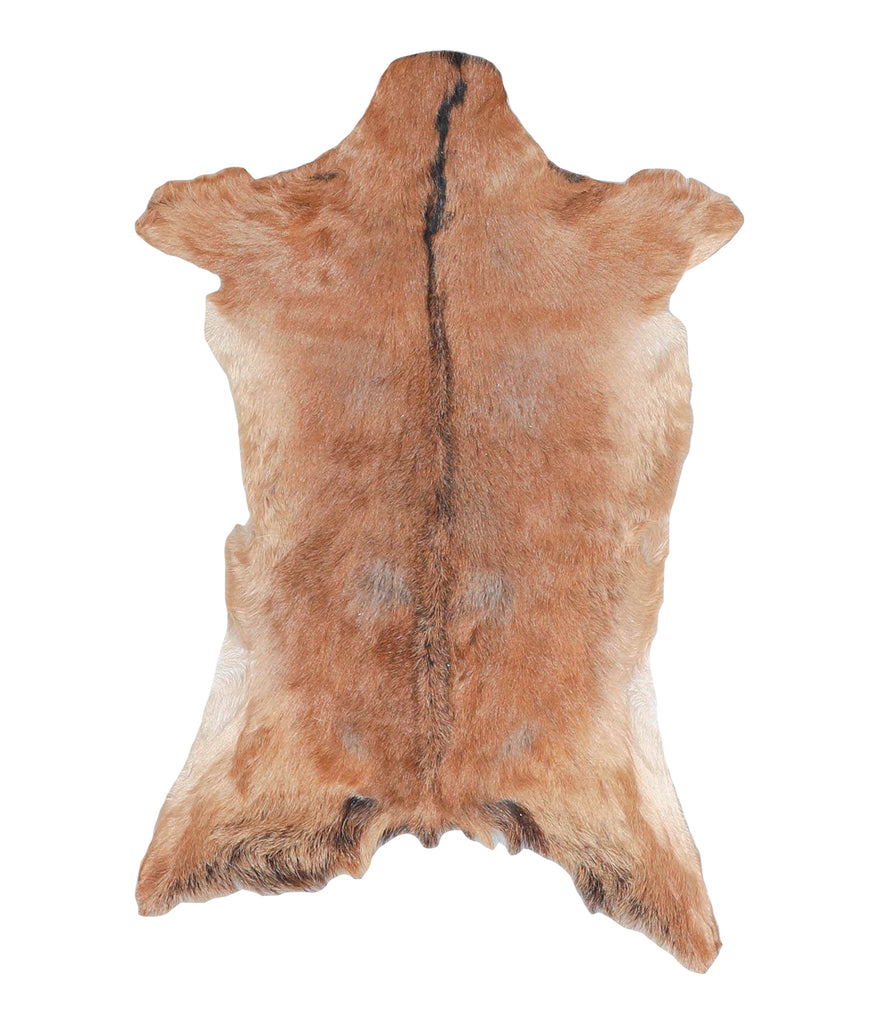 Goatskin Approx 2'3 #A28187 by Hudson Hides