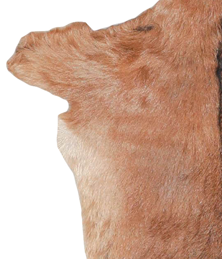 Goatskin Approx 2'3 #A28187 by Hudson Hides