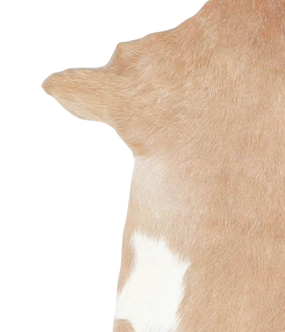 Goatskin Approx 2'3 #A28190 by Hudson Hides