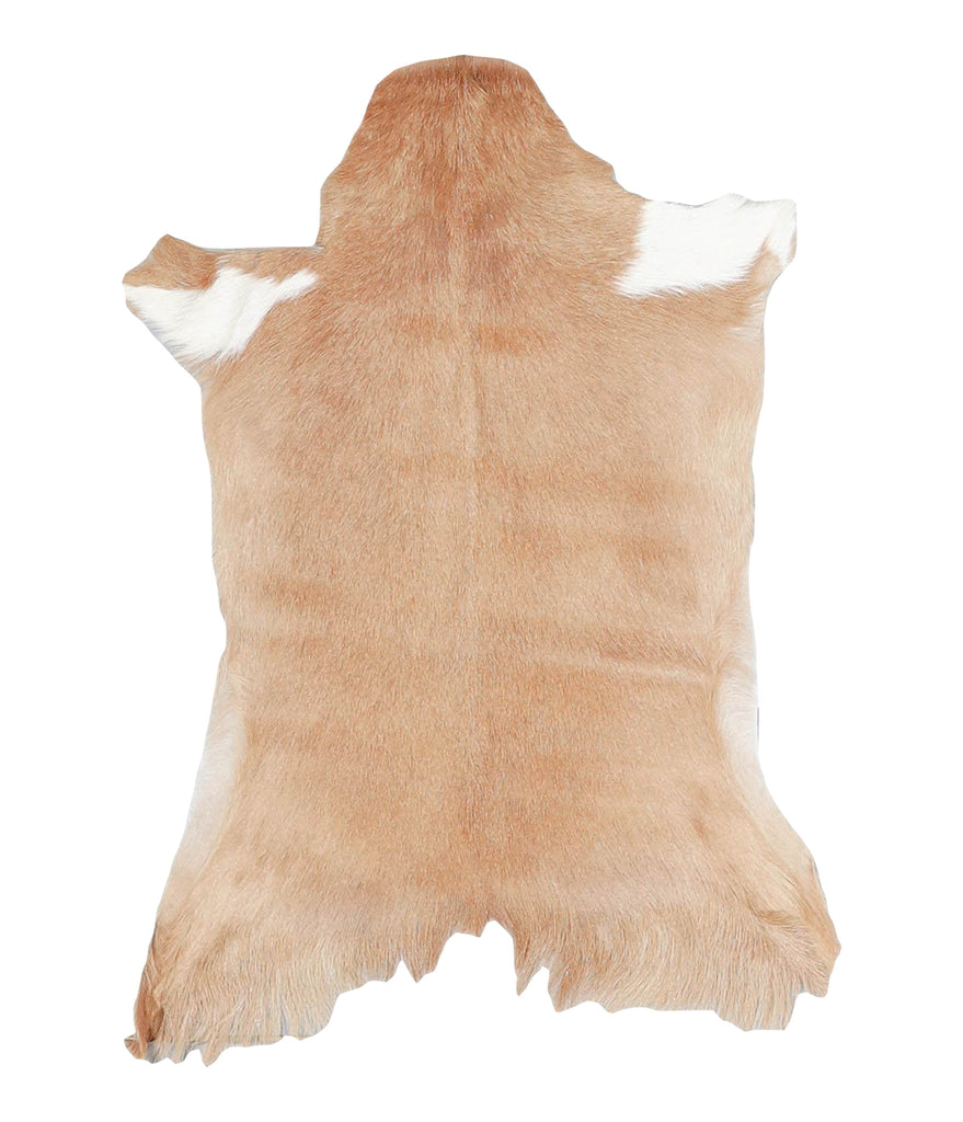 Goatskin Approx 2'3 #A28191 by Hudson Hides