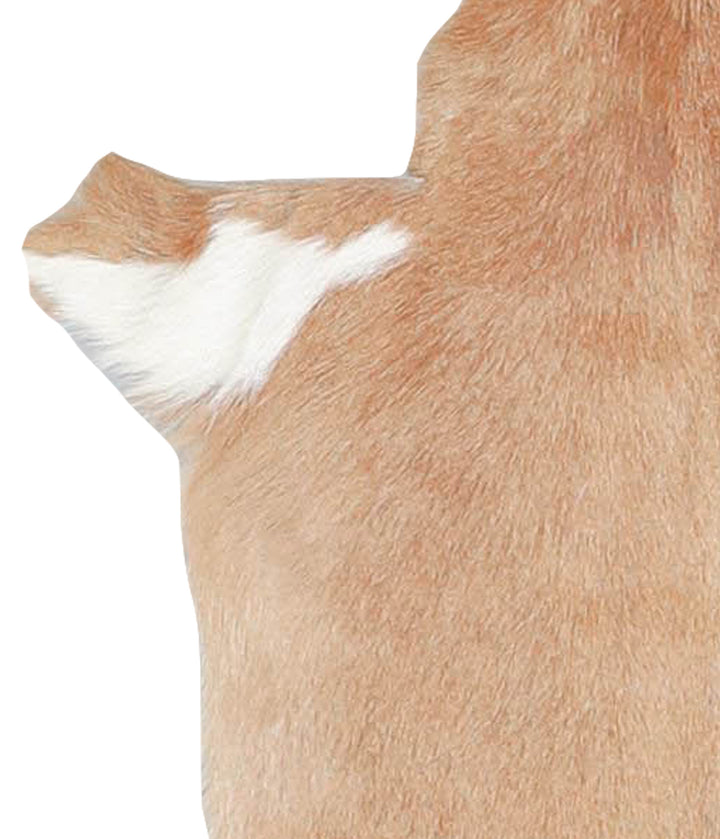 Goatskin Approx 2'3 #A28191 by Hudson Hides