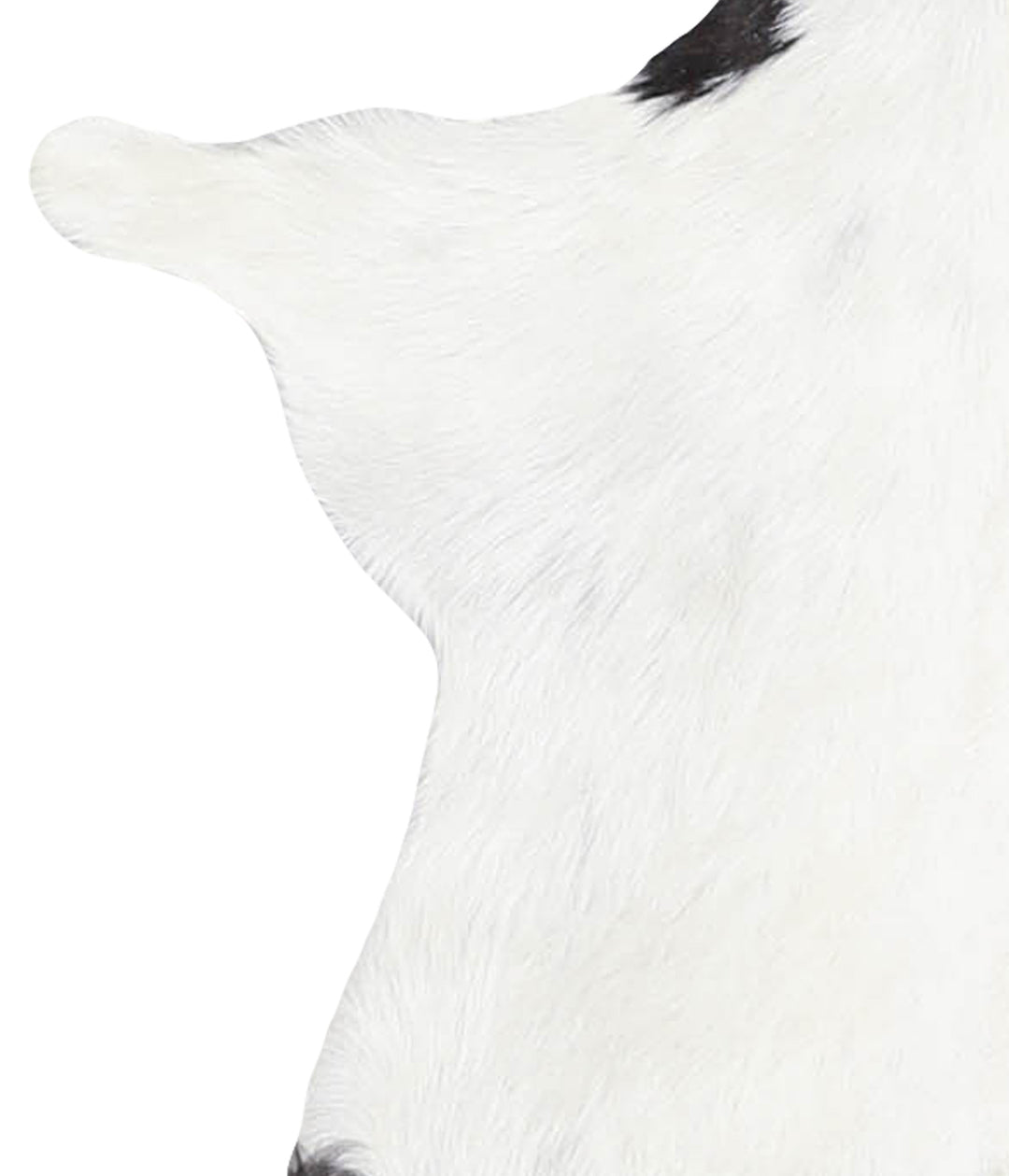 Goatskin Approx 2'3 #A28195 by Hudson Hides