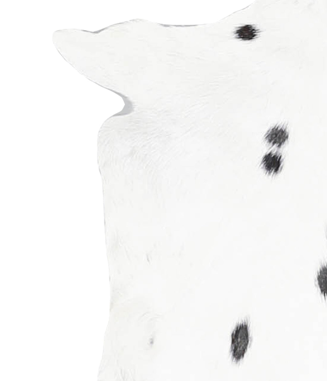 Goatskin Approx 2'3 #A28219 by Hudson Hides