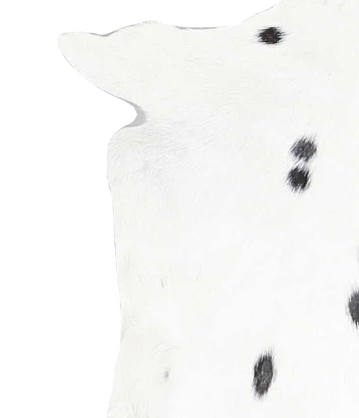 Goatskin Approx 2'3 #A28219 by Hudson Hides