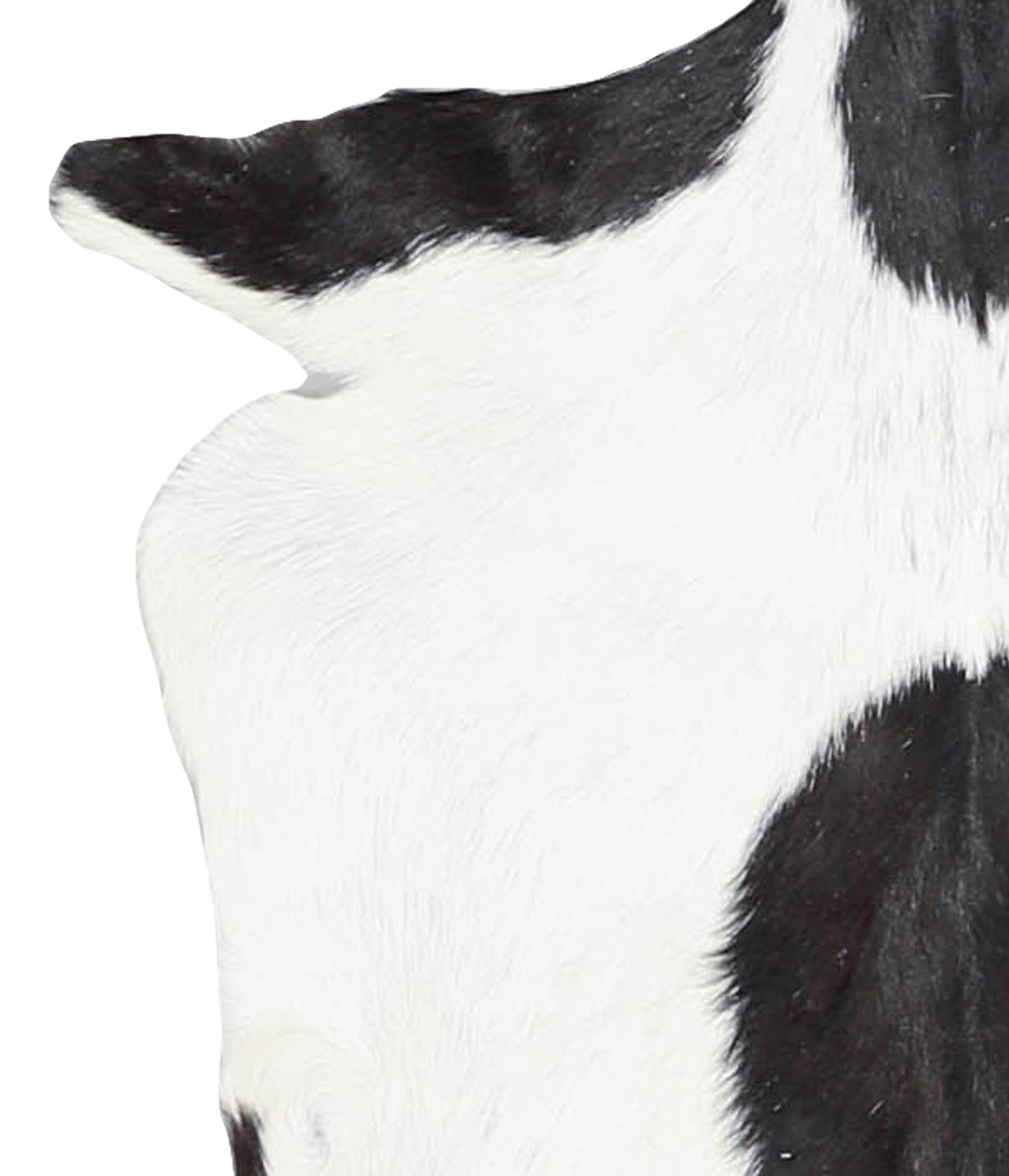 Goatskin Approx 2'3 #A28230 by Hudson Hides