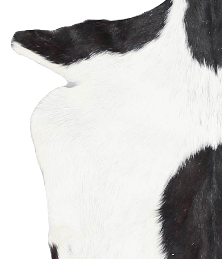 Goatskin Approx 2'3 #A28230 by Hudson Hides