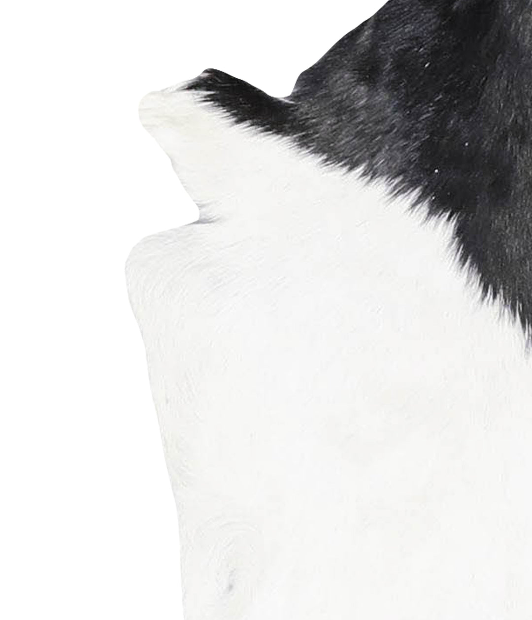 Goatskin Approx 2'3 #A28241 by Hudson Hides
