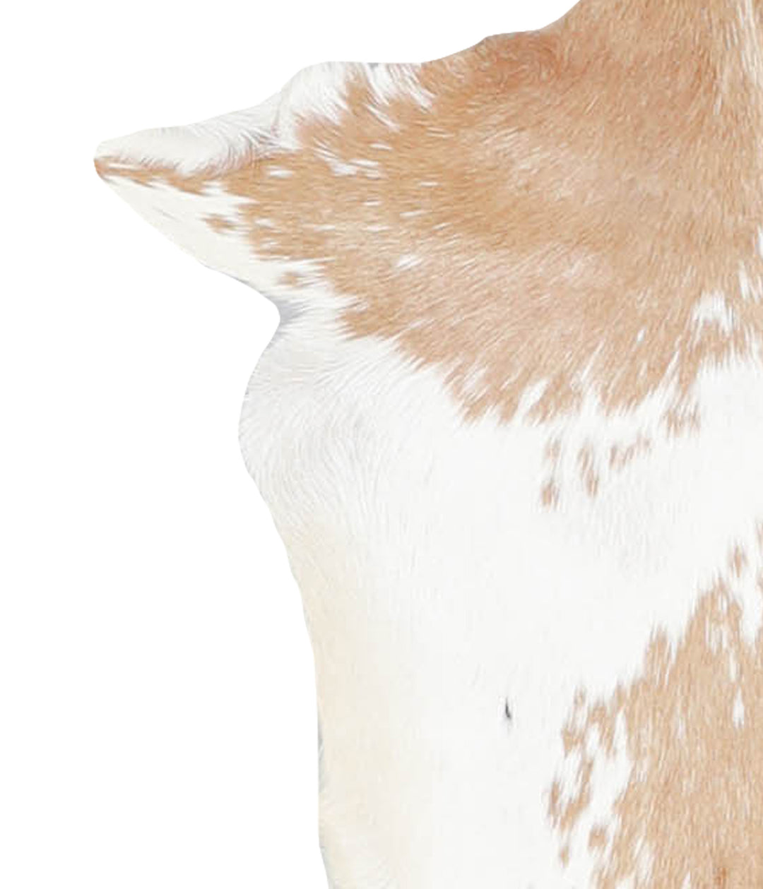 Goatskin Approx 2'3 #A28264 by Hudson Hides