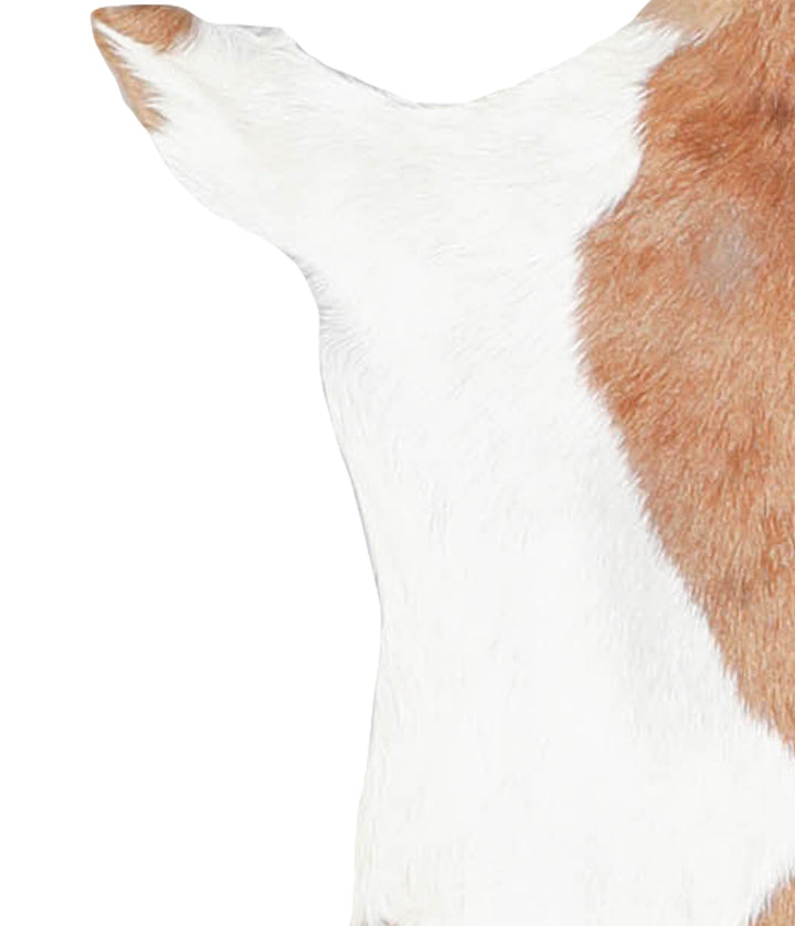 Goatskin Approx 2'3 #A28268 by Hudson Hides