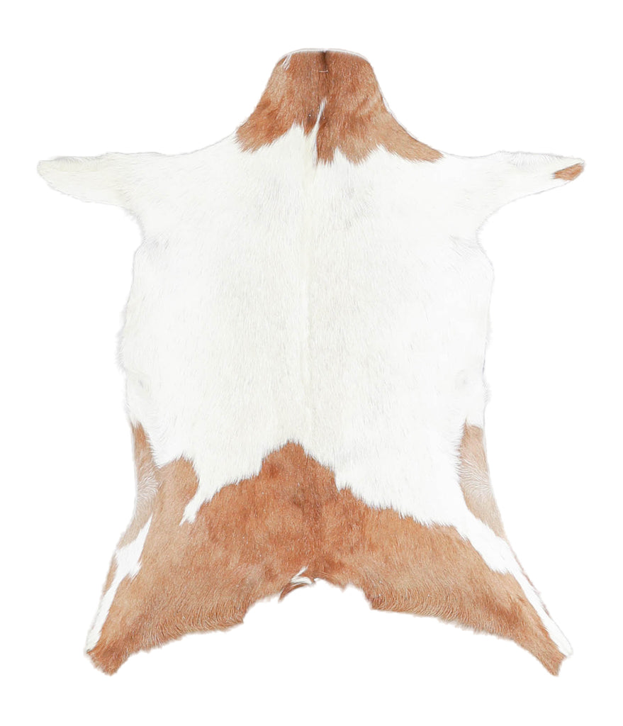 Goatskin Approx 2'3 #A28269 by Hudson Hides