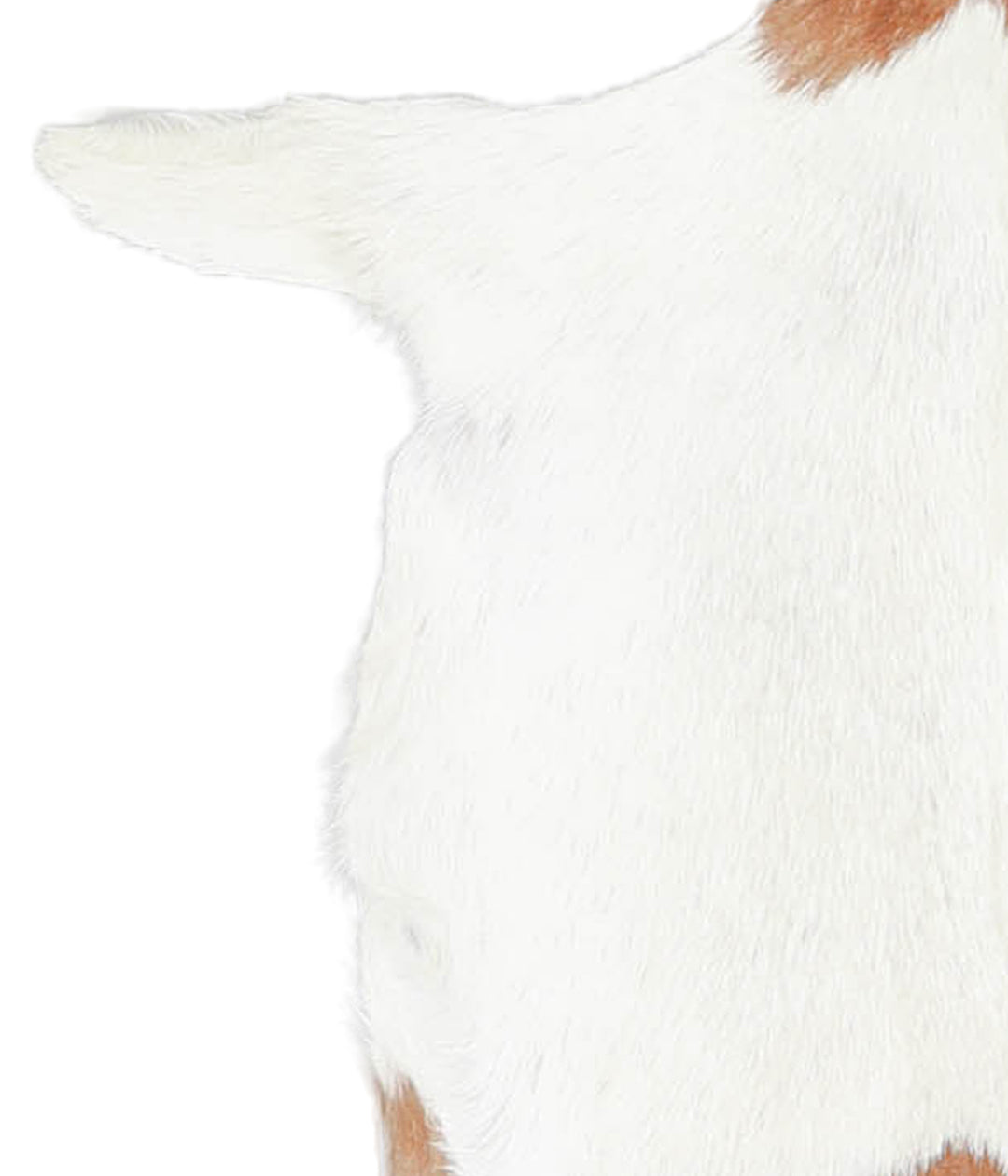 Goatskin Approx 2'3 #A28269 by Hudson Hides