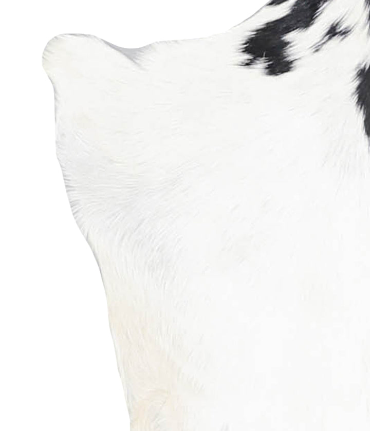 Goatskin Approx 2'3 #A28297 by Hudson Hides