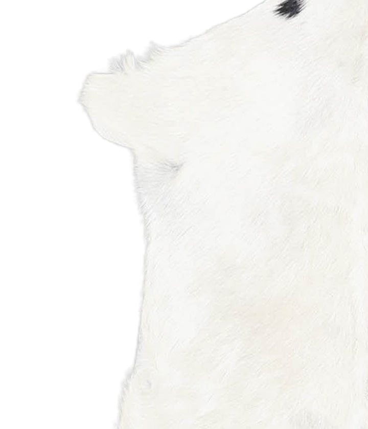 Goatskin Approx 2'3 #A28314 by Hudson Hides