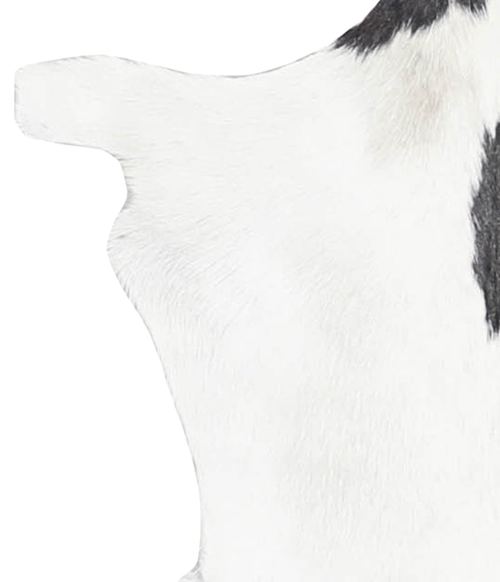 Goatskin Approx 2'3 #A28321 by Hudson Hides