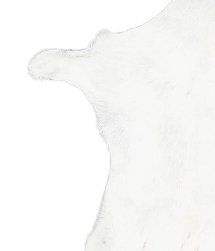 Goatskin Approx 2'3 #A28347 by Hudson Hides