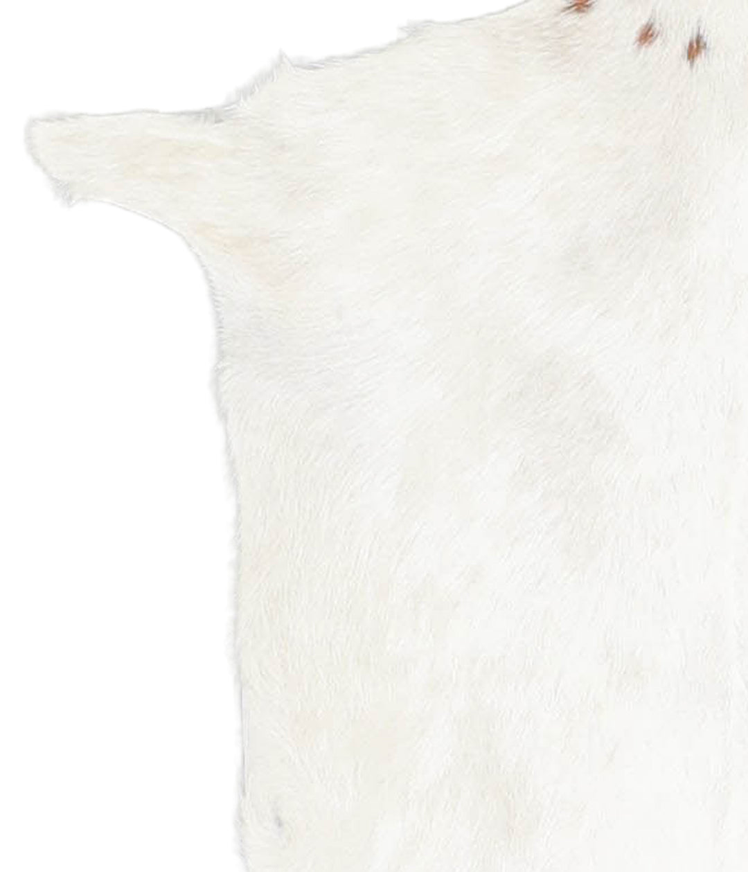 Goatskin Approx 2'3 #A28350 by Hudson Hides