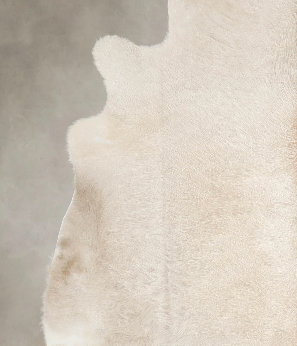 Champagne Cowhide Rug #A28879