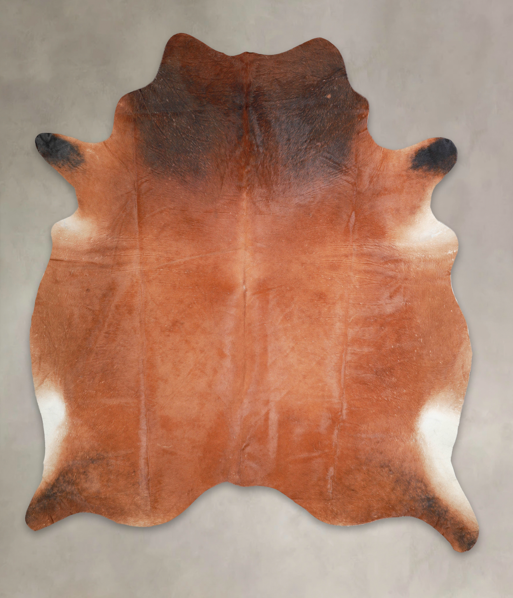 Brown with Red Cowhide Rug #A28896