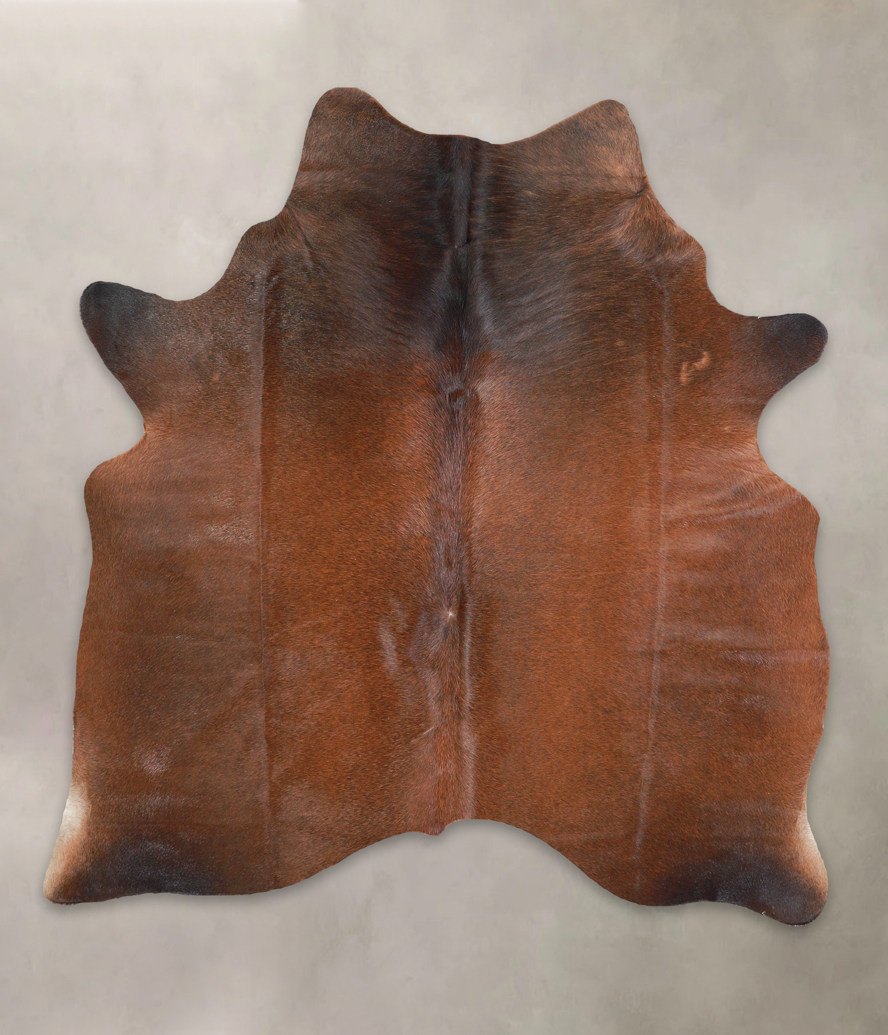 Brown with Red Cowhide Rug #A28899