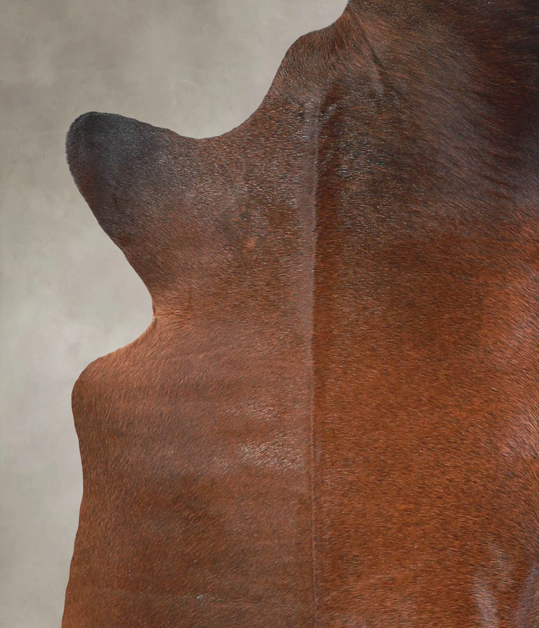 Brown with Red Cowhide Rug #A28899