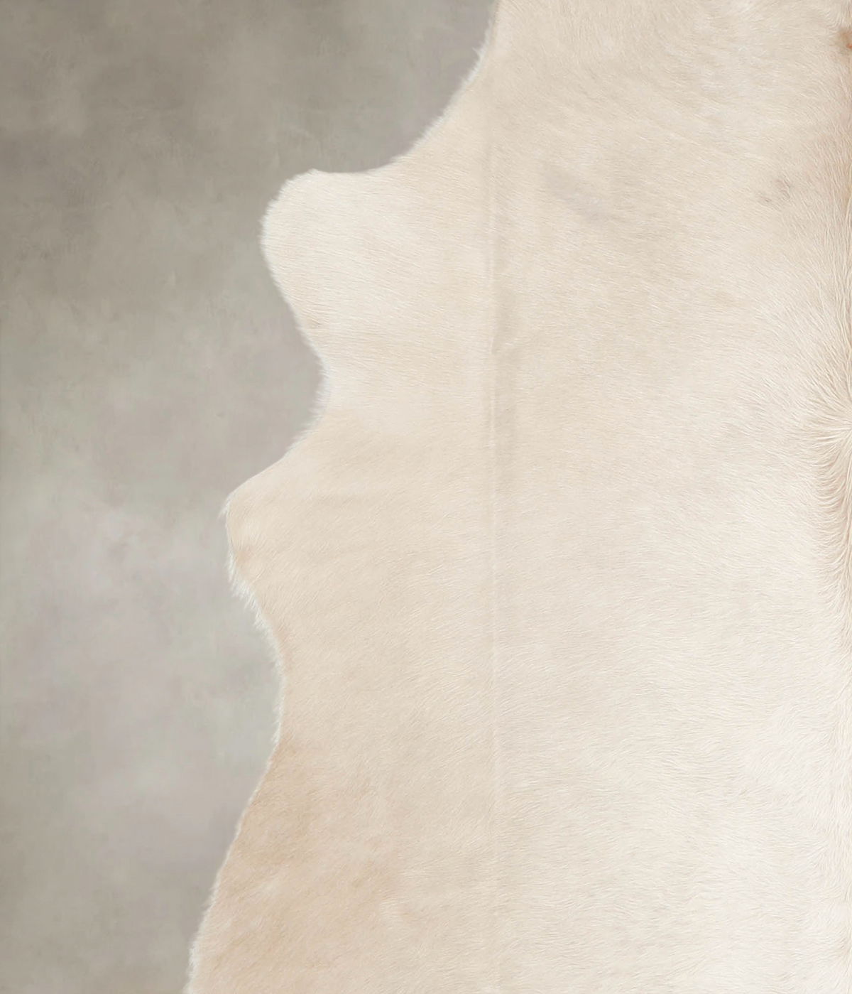 Champagne Cowhide Rug #A28905