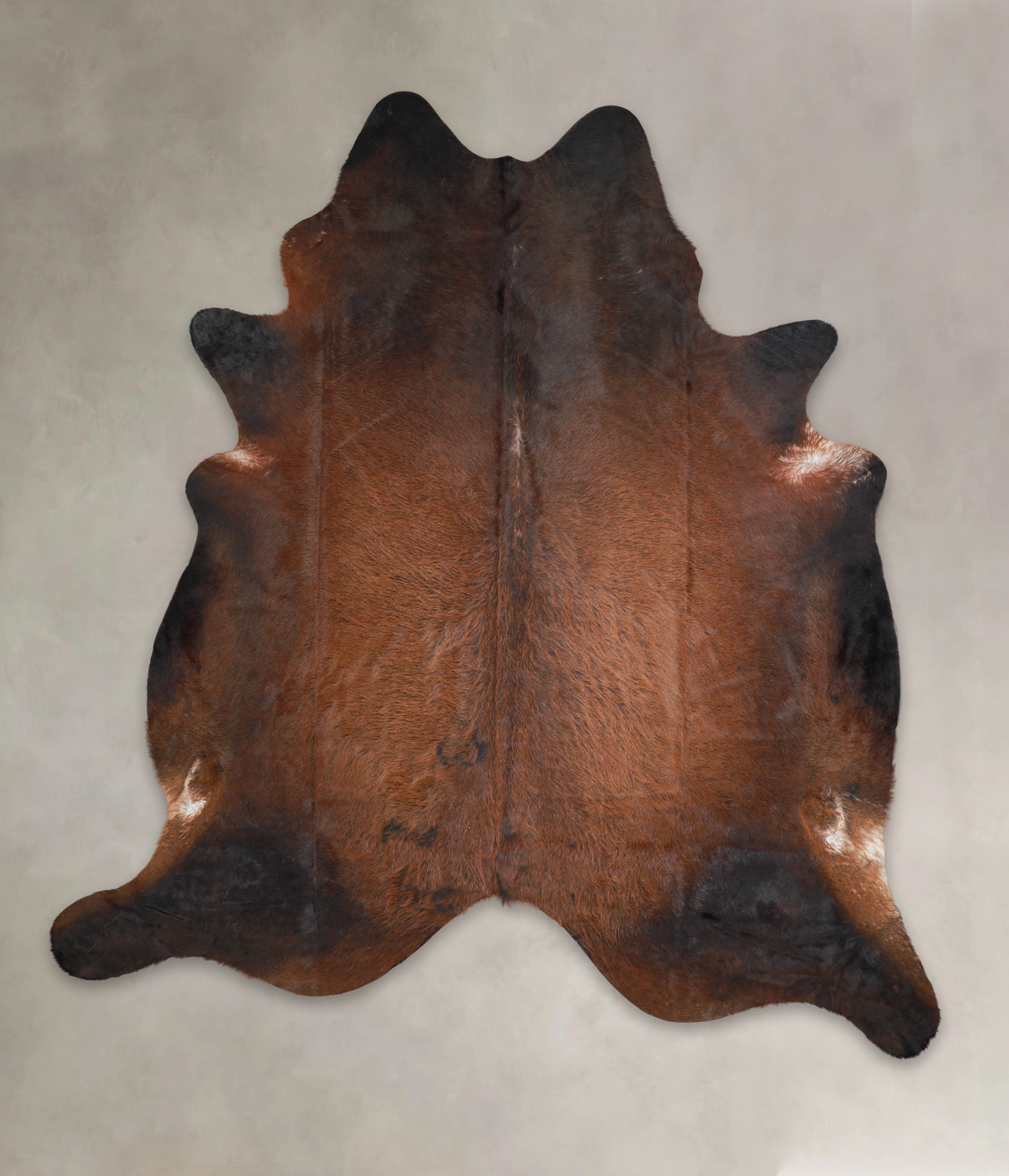 Brown with Red Cowhide Rug #A28912