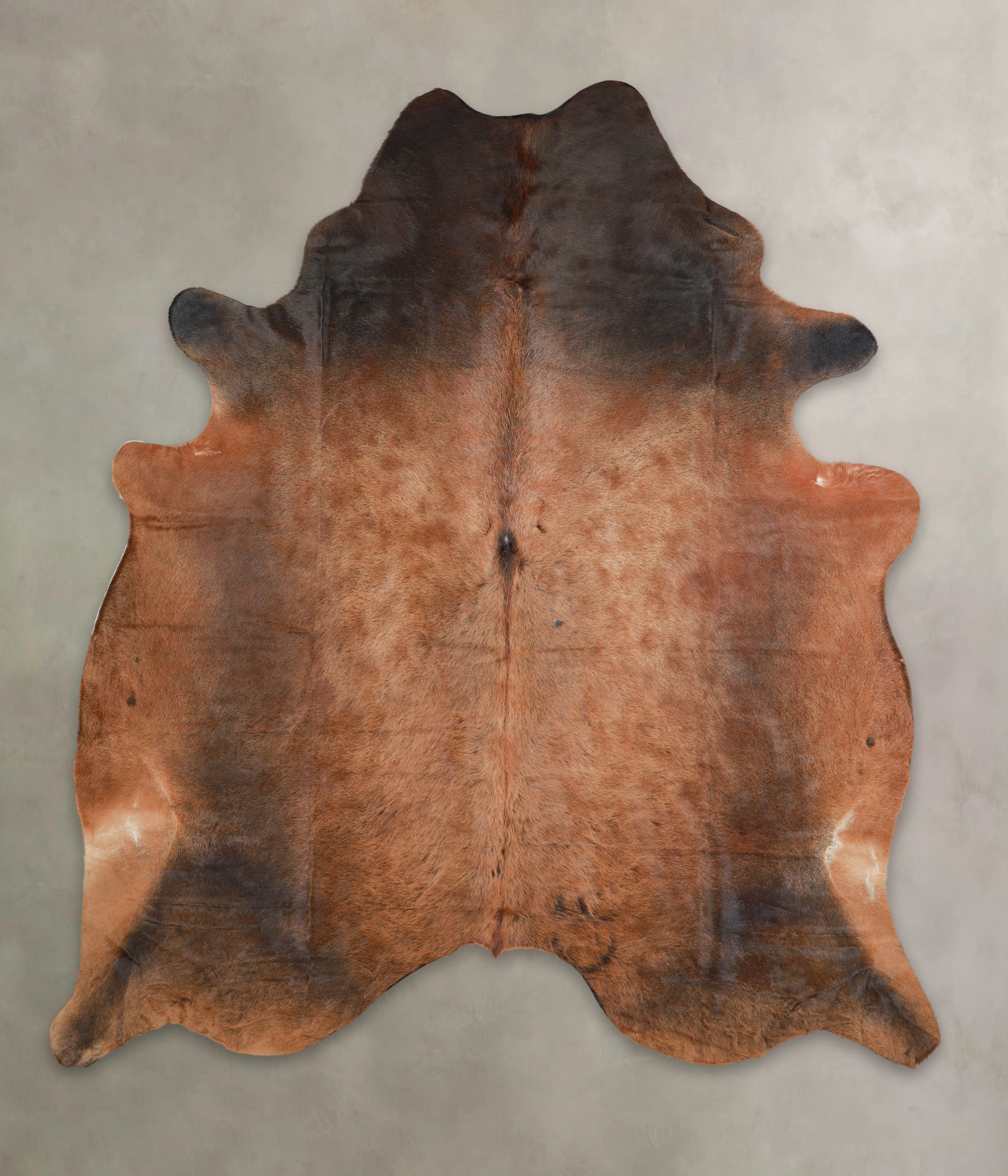 Brown with Red Cowhide Rug #A28929