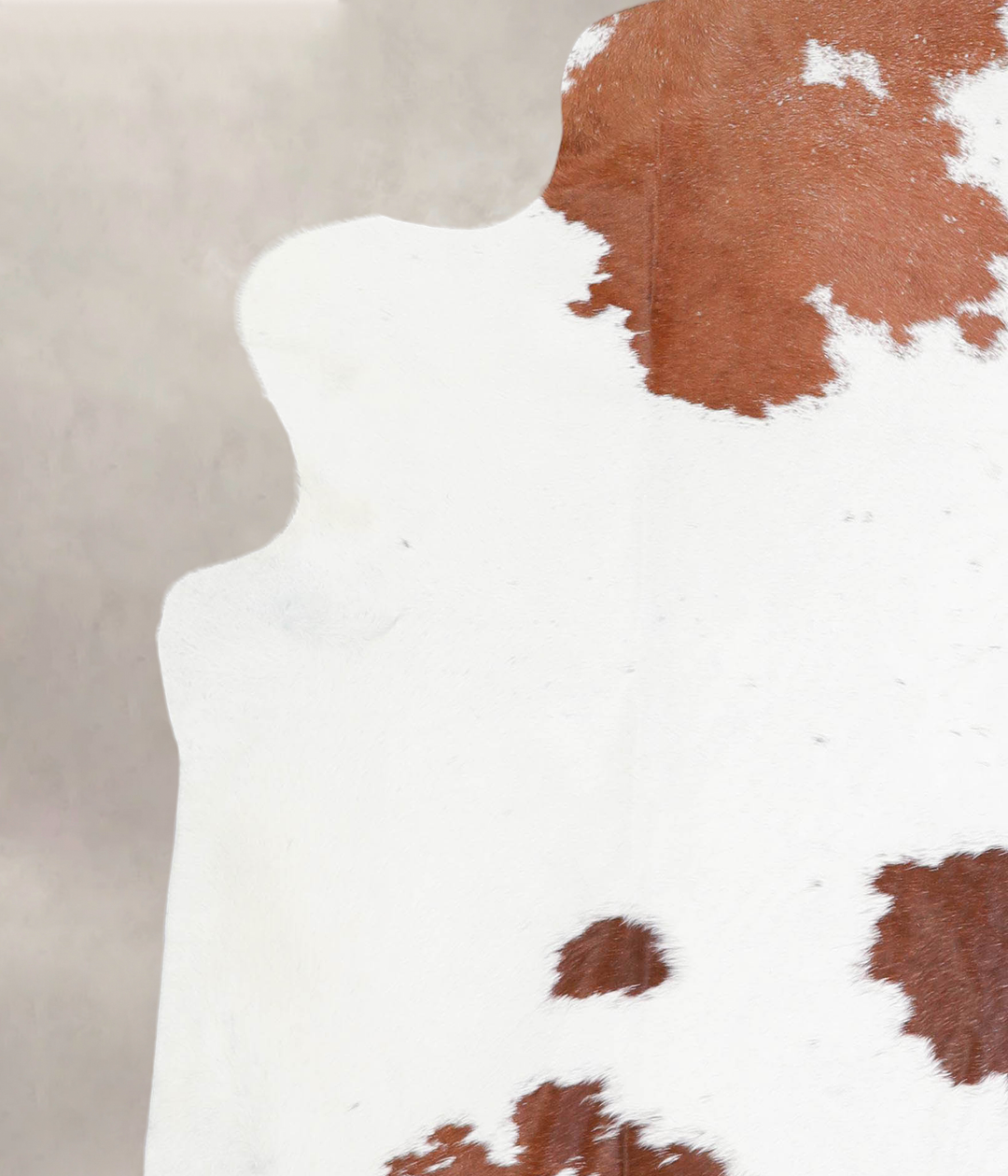 Brown and White XX-Large Brazilian Cowhide Rug 7'7"H x 6'7"W #A28945 b