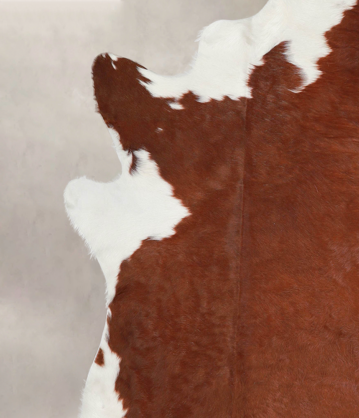 Hereford XX-Large Brazilian Cowhide Rug 8'2"H x 7'1"W #A28956 by Hudson Hides