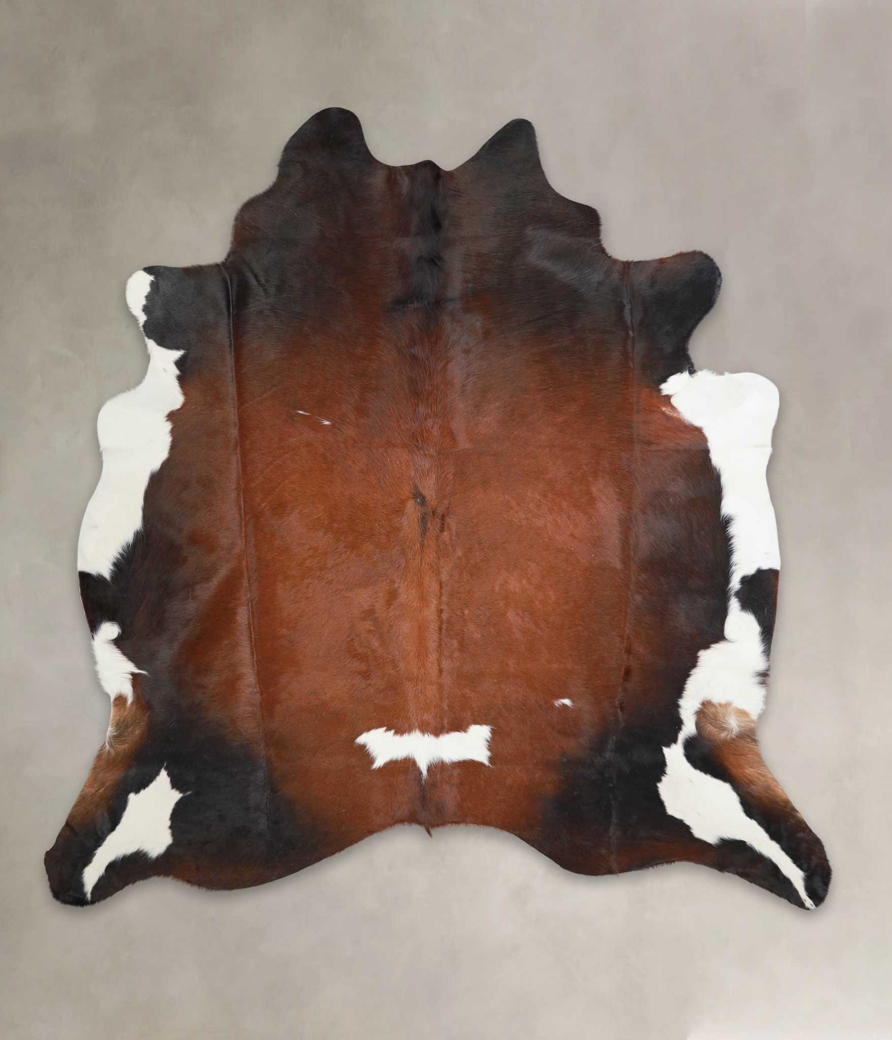 Chocolate and White Cowhide Rug #A29003