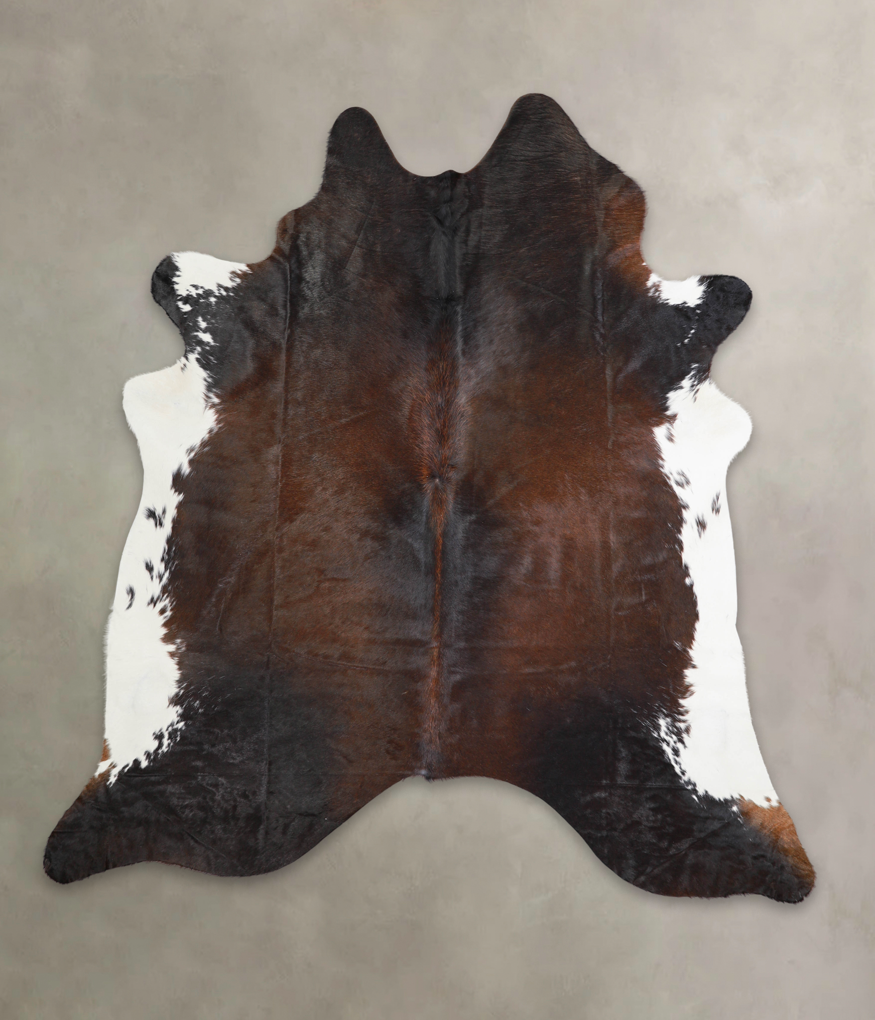Chocolate and White Cowhide Rug #A29024