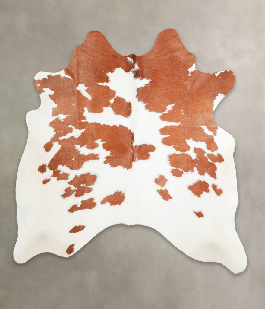 Brown and White Large Brazilian Cowhide Rug 6'4"H x 6'0"W #A29027 by Hudson Hides