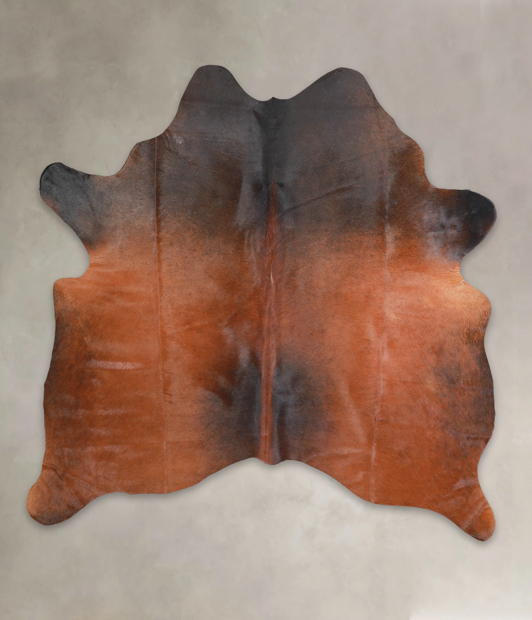 Brown with Red Cowhide Rug #A29063