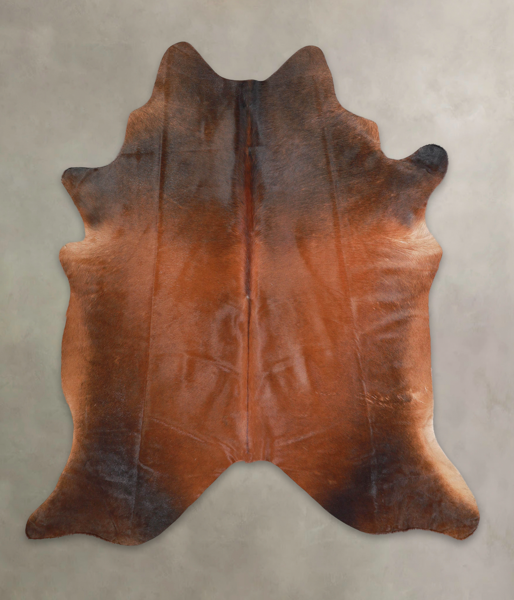 Brown with Red Cowhide Rug #A29086