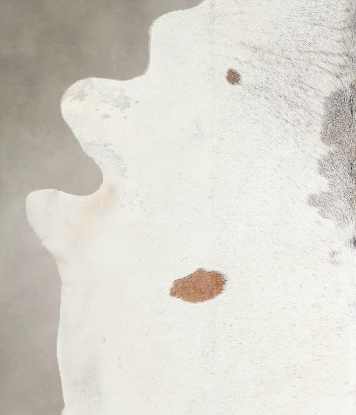 Medium Grey XX-Large Brazilian Cowhide Rug 8'3"H x 7'6"W #A29089 by Hudson Hides