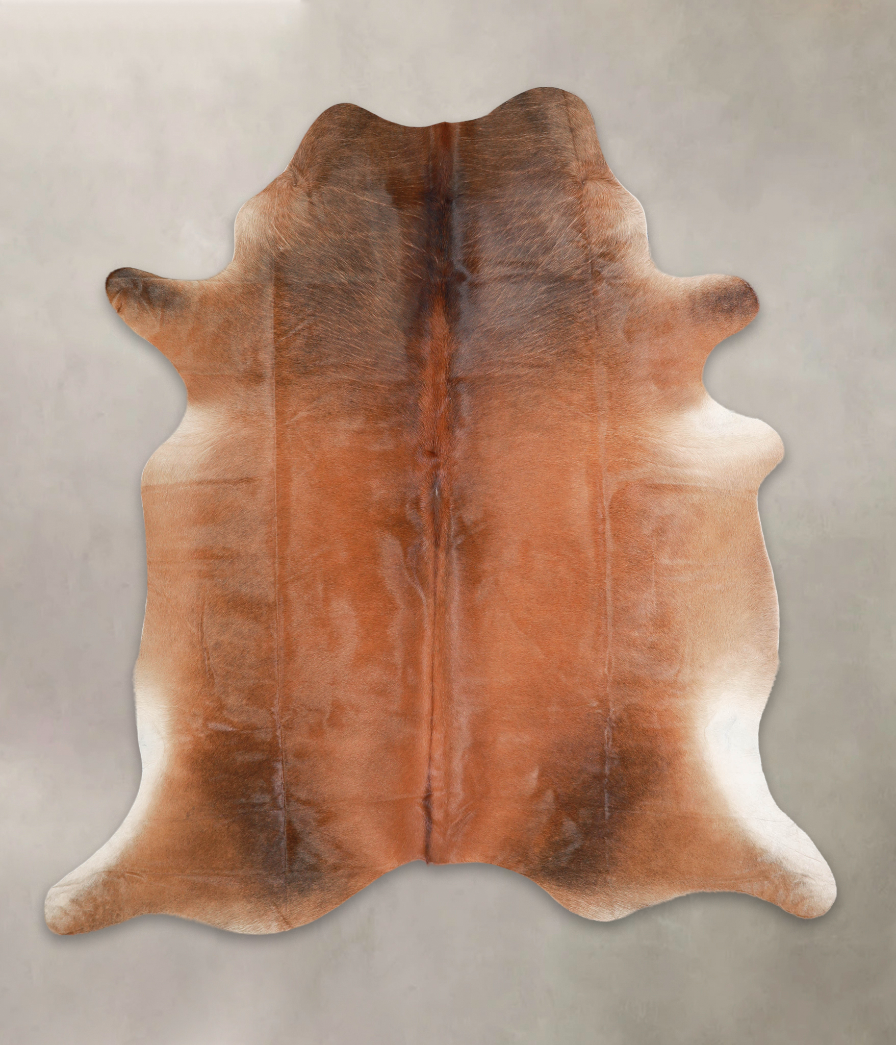 Brown with Red Cowhide Rug #A29090