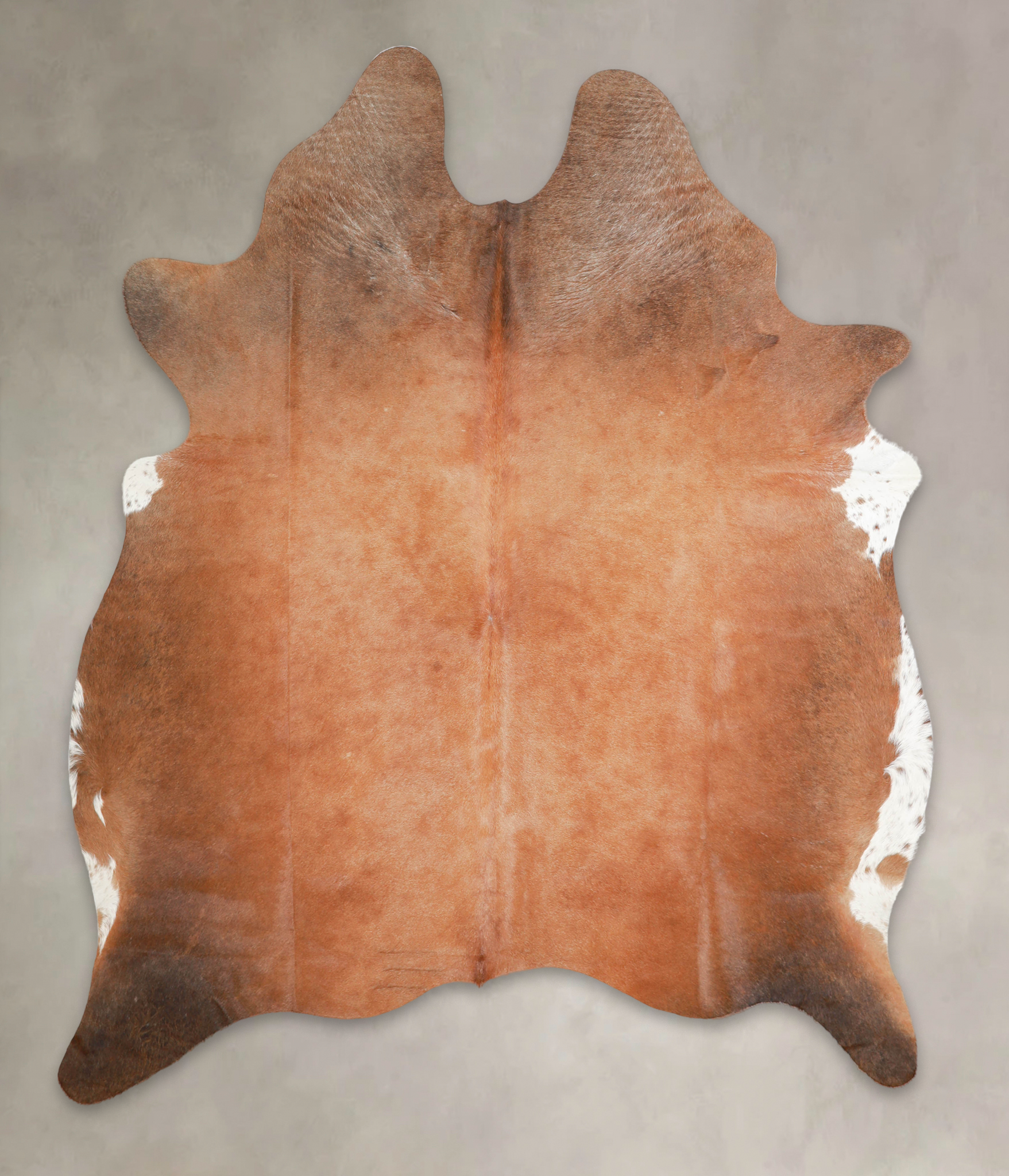Brown with Red Cowhide Rug #A29113